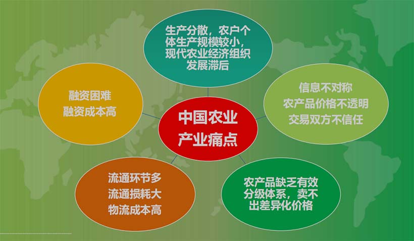 产业分析：中国农业的5个关键问题